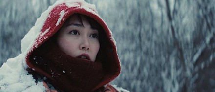 Kumiko, lovac na blago